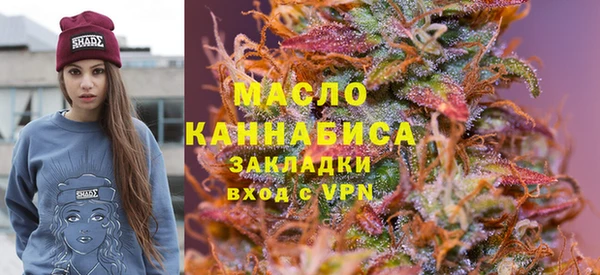 крисы Сатка