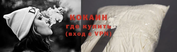 индика Семёнов