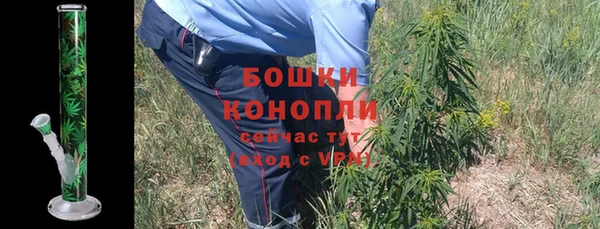 шишки Семикаракорск