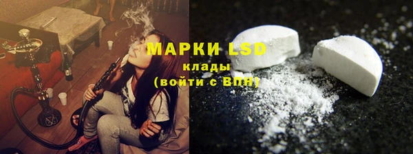 крисы Сатка