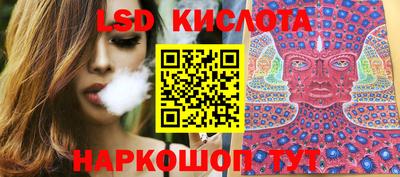 mdpv Бердск