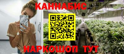 mdpv Бердск