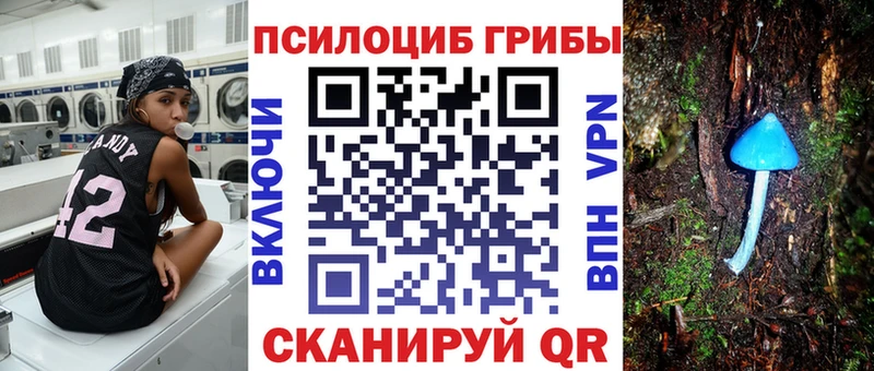 Галлюциногенные грибы MAGIC MUSHROOMS Киржач
