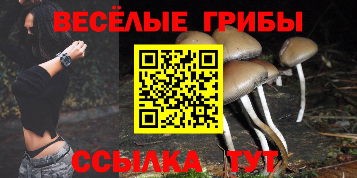 как найти   Вход с VPN  Галлюциногенные грибы Psilocybine cubensis  Киржач  Псилоцибиновые грибы Psilocybine cubensis 